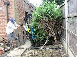 Check spelling or type a new query. How To Remove Hedges Youtube