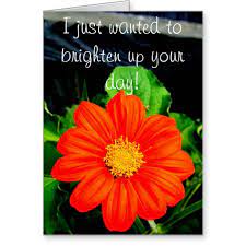 I'd never had smoked salmon until i dated isaac and was introduced to the bagel, cream cheese, smoked awww, flowers from the hubby are always such a treat! Quotes On Flowers To Brighten Day Quotesgram