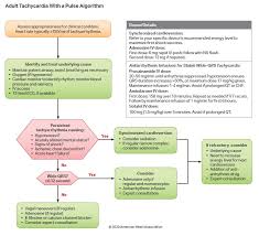 Advanced cardiovascular life support (acls) are combined in the 2020 guidelines. The Care Course Home Acls Tachycardia Algorithm 2020