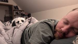 What's taking the jackets off my corn and earing it? What shall I do?