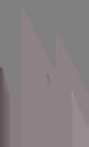 Image result for Syngonanthus longibracteatus