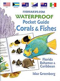 Waterproof Pocket Guide Corals Fishes Florida Bahamas Caribbean
