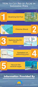 Maintaining The Pool Is A Complicated Task There Are A Lot Of Things To Know About Its Cleaning And Pool Landscaping Swimming Pools Pool Maintenance Checklist