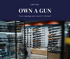 Usually, the process of expungement itself starts with filling out an application or preparing a petition to request an expungement, provide the required documentation, and submit the application to the competent criminal court for a judge's review. Can You Own A Gun If You Expunge Your Record In Illinois