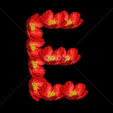 There is also eggnog fudge, eggnog truffles and eggnog truffle cups. Alphabet E Single Letters Typography Pixoto