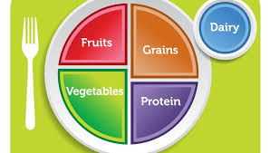 Image result for Nutrition Guidelines