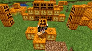 Zunächst streuen wir etwas bäckerstärke oder sehr feines mehl auf die backmatte. Minecraft Kurbis Anleitung De Atsit