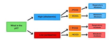 Image result for ABG Interpretation