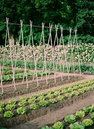 Maybe you would like to learn more about one of these? Starten Sie Einen Bio Garten In 8 Einfachen Schritten Garten Dekoration Vegetable Garden Design Organic Gardening Tips Organic Vegetable Garden