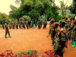 Image result for Microcoelia nyungwensis