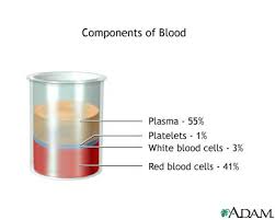 Image result for Blood Volume