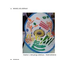 Cara Membuat Gambar Hewan Dari Plastisin Sel Hewan Alat Dan Bahan Membuat Patung Dari Plastisin Berbagai Alat 13 Macam Ke Sel Hewan Gambar Hewan Hewan