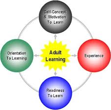 Adult Learning Theory Andragogy Learning Theories Etc547