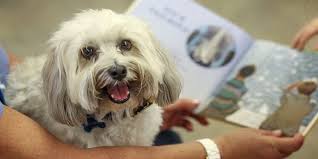 Photos: Neighborhood Post 1016