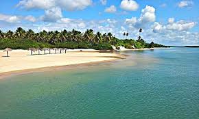 We did not find results for: Baia Formosa Barra De Cunhau Pipa Avaliacoes De Viajantes Barra Do Cunhau Tripadvisor