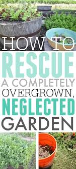 How To Save Your Garden If It S Gotten A Little Or A Lot Out Of Control This Year Organic Vegetable Garden Overgrown Garden