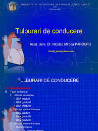 La nivel ventricular exista trei fascicule : Ekg Tulburarile De Conducere