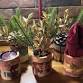 The Jesmonite Christmas Workshop - Table & Tree event image