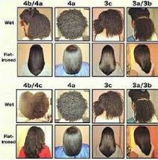 27 Beste Afbeeldingen Van Hair Type Chart Natuurlijk Haar