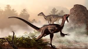 Dinosaur, facts, fossils and information. How Velociraptor Was Discovered