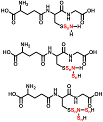 Sspn's profit also rose by 25.52% over the previous year, the increase translating to rm41.73 million. Molecules Free Full Text Characterization Of Polysulfides Polysulfanes And Other Unique Species In The Reaction Between Gsno And H2s Html