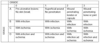 Image result for IDSA Diabetic Foot Wound Classification