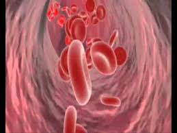 Infecciones del torrente sanguíneo asociadas al uso de catéter infección del torrente sanguíneo: Torrente Sanguineo Youtube