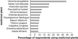 Image result for Sopubia ugandensis