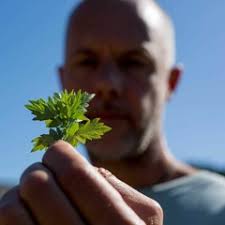 Stream The Sharpham Trust