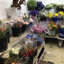 Maybe you would like to learn more about one of these? Import Flowers 12 Photos 24 Reviews Florists 3636 Murphy Rd Nashville Tn Phone Number Yelp