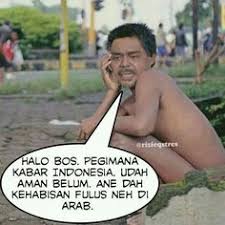 Kumpulan gambar lucu banget dengan berbagai tema. 290 Ide Galeri Gambar Lucu Lucu Meme Lucu