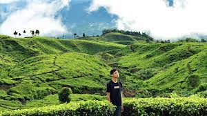 Kebun teh nirmala sendiri dikenal sebagai salah satu kebun teh terluas di kabupaten bogor. Kebun Teh Malasari Sensasi Wisata Alam Di Bogor Kaskus