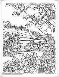 Mewarnai gambar pemandangan alam berupa pegunungan dengan kumpulan pohon kelapa. Mewarnai Gambar Pemandangan Buku Mewarnai Gambar Buku Mewarnai Warna Gambar