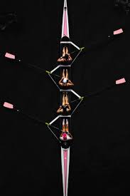 Image result for Loxodera