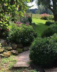 Gefallt 612 Mal 45 Kommentare Ein Schweizer Garten Einschweizergarten Auf Instagram Geranium Rozann Backyard Landscaping Front Yard Decor Front Gardens