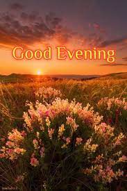 Pin On Good Evening