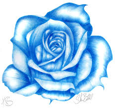 Rose In Blue Blue Rose Tattoos Blue Roses Wallpaper Rose Tattoo Sleeve