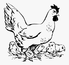 Also, find more png clipart about symbol clipart,hen clipart,pharmacy clipart. Hen And Chickens Chicken And Chicks Black And White Free Transparent Clipart Clipartkey