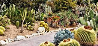 60 Stunning Desert Garden Landscaping Ideas For Home Yard Low Water Landscaping Desert Garden Low Water Gardening