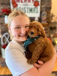 Mountain View Goldendoodles