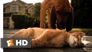 Cats Dogs 1 10 Movie Clip Catnapped 2001 Hd Youtube
