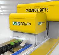 Avocados Sorting, Grading, Packing and Processing Machines ...