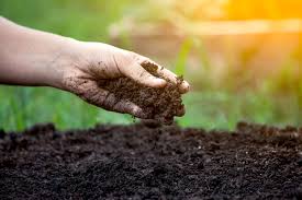 Many of us find a flower we want to plant, dig a hole, plop the flower in the hole, and assume it will grow. What Is The Best Soil For Flowers Soil For Growing Flowers Turf Online