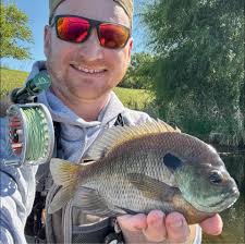 LEGO Steam Punk Shark Creation