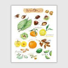 See more of my fruits on facebook. Pin Auf My Recipe Illustrations