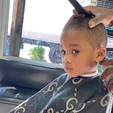 Olive Wolf (@princeolivewolf) • Instagram photos and videos