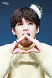 Pin Oleh Samya Victoria Di For All Seventeen Carats Suami Suami Masa Depan Ilustrasi