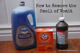 How To Remove The Vomit Smell From Carpet Furniture Car And Anything Else Cleaning Hacks Cleaning House Cleaning Tips
