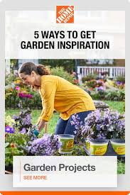 Pin On Garden Club