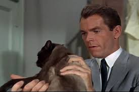 That Darn Cat! (1965)